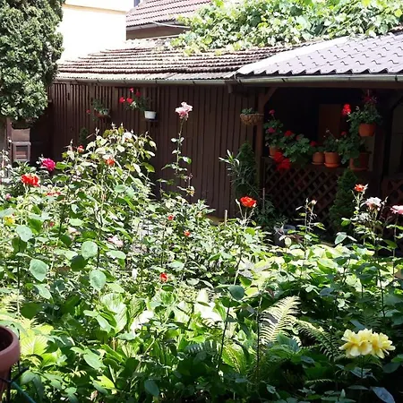 Casa Ioana Casa de hóspedes Braşov