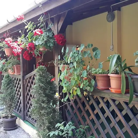 Casa Ioana Braszów