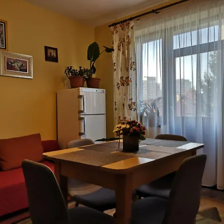 Casa Ioana Pensjonat 3*
