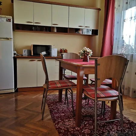 Casa Ioana Πανσιόν Μπρασόβ