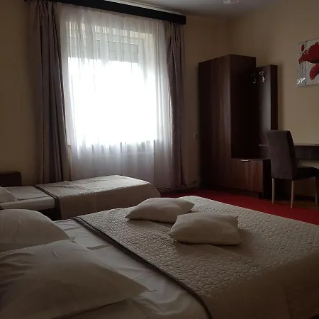 ゲストハウス Casa Ioana