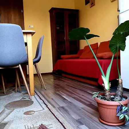 Casa Ioana 3*