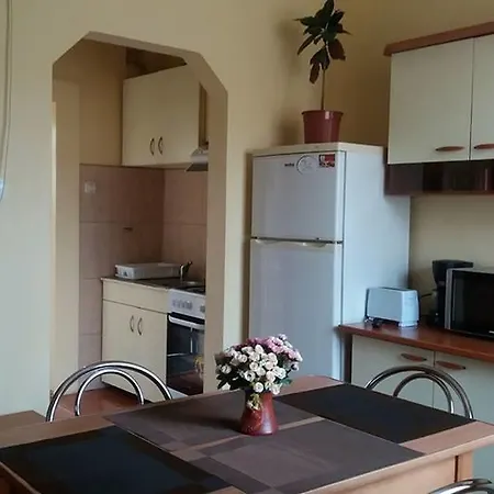 Casa Ioana ゲストハウス ブラショフ