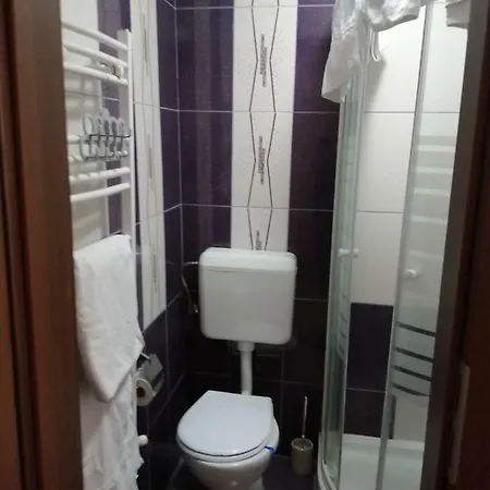 Pensjonat Casa Ioana