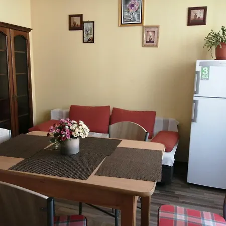 Casa Ioana Pensjonat 3*