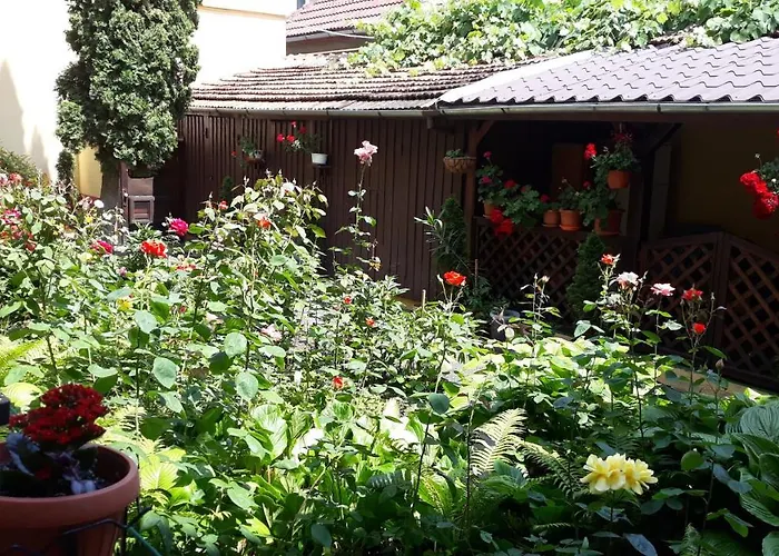 Casa Ioana Gæstehus Braşov