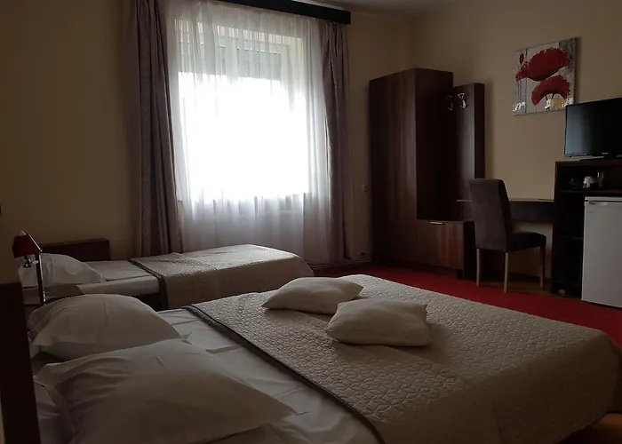 Gæstehus Casa Ioana