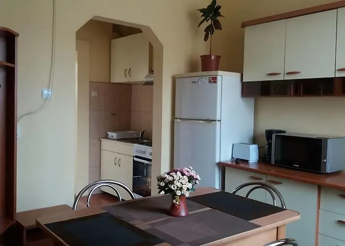 Casa Ioana Casa de hóspedes Braşov