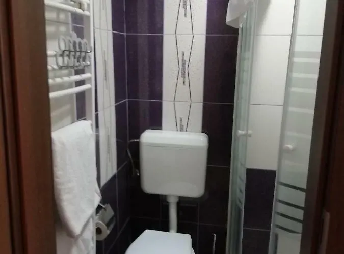 Casa de hóspedes Casa Ioana